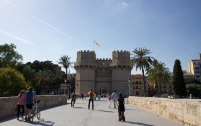 Mesoterapia en Valencia: Precisión en la Arquitectura de la Piel